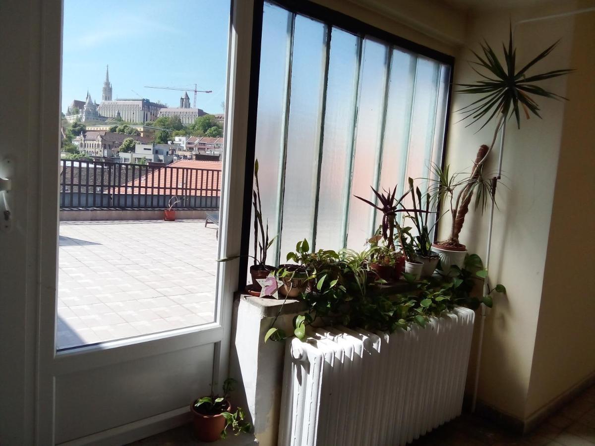 Buda Super Panorama Budapest Kültér fotó